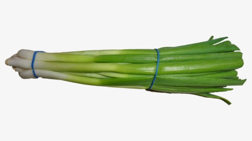 Scallion 2 - Scallions Png, Transparent Png, Free Download