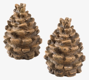 Decorative Pine Cones - Pond Pine, HD Png Download, Free Download