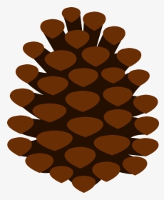 Clip Art Pine Cone - Fall Pine Cones Clipart, HD Png Download, Free Download