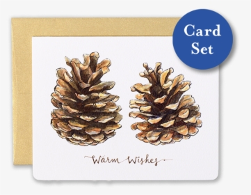 Pinecones Warm Wishes Card Set Of - Warm Wishes, HD Png Download, Free Download