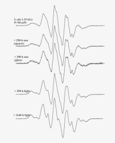 Variations In Shape Of Epr Spectra Of - Line Art, HD Png Download, Free Download
