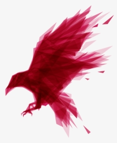 Transparent Raven Feather Png - Ravendb, Png Download, Free Download