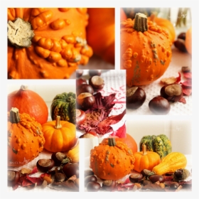 Pumpkin, HD Png Download, Free Download