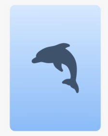 Common Bottlenose Dolphin, HD Png Download, Free Download
