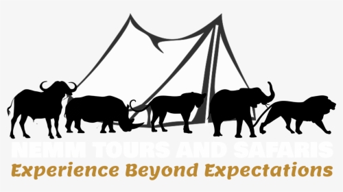 Nemm Tours And Safaris - Indian Elephant, HD Png Download, Free Download
