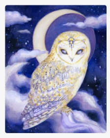 Moon - Barn Owl, HD Png Download, Free Download