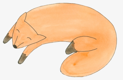 Sleepy Cute Fox Cartoon Transparent - Tapir, HD Png Download, Free Download