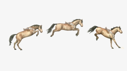 Stridefree Saddle - Stallion, HD Png Download, Free Download