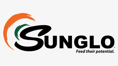 Sunglo Logo Black Outline - Beyond The C++ Standard Library, HD Png Download, Free Download