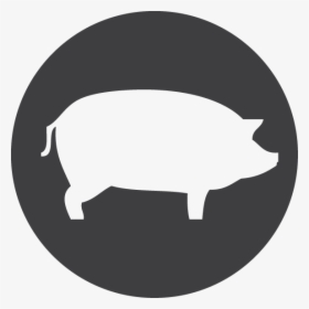 Outline Vector Pig - Pig Icons Png, Transparent Png, Free Download