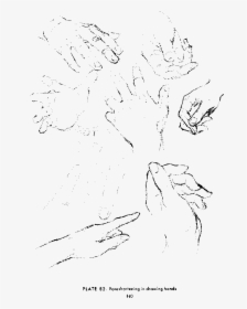 Transparent Hands Drawing Png - Sketch, Png Download, Free Download