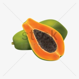 Cross Section Of A Fruit, HD Png Download, Free Download