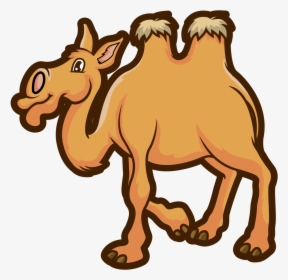 Camel Transparent Domestic Animal - Camel, HD Png Download, Free Download