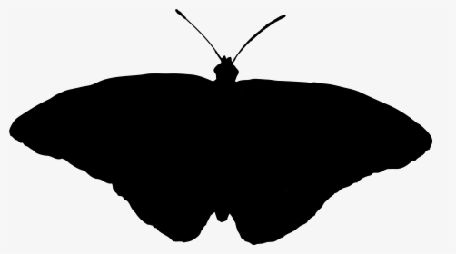 Clip Art Silhouette M - Swallowtail Butterfly, HD Png Download, Free Download