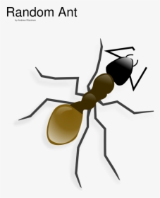Ant - Ant Clip Art, HD Png Download, Free Download