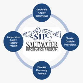 Graphic Depicting The Four Components Of The Saltwater - Somali Pirates, HD Png Download, Free Download