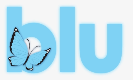 Simple Social Media Management Software - Butterfly, HD Png Download, Free Download