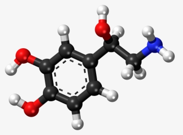 Norepinephrine Ball And Stick Model - Noradrenaline Molecule, HD Png Download, Free Download