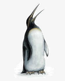 Emperor Penguin , Png Download - Emperor Penguin, Transparent Png, Free Download