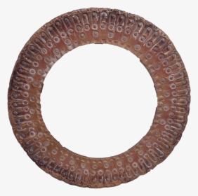 Circle, HD Png Download, Free Download