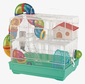 Gerbil Png, Transparent Png, Free Download