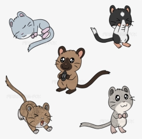 Gerbils - Cartoon, HD Png Download, Free Download