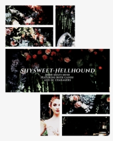 Collage, HD Png Download, Free Download