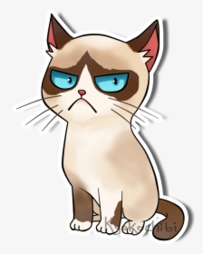 Grumpy Cat , Png Download - Domestic Short-haired Cat, Transparent Png, Free Download