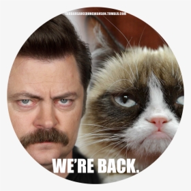 Ron Swanson Grumpy Cat Grumpy Cat The Movie Parks And, HD Png Download, Free Download
