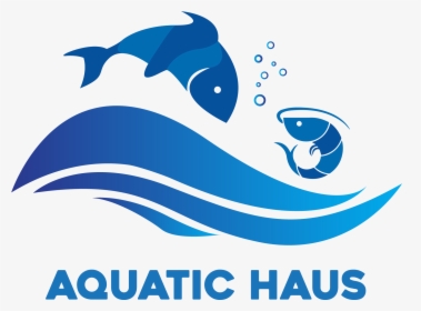 Aquatic Haus - Illustration, HD Png Download, Free Download