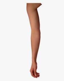 Right Arm Png - Arm Right Png, Transparent Png, Free Download