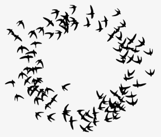 Birds Flying In A Circle - Particle Swarm Optimization Icon, HD Png Download, Free Download
