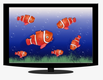 Aquarium, Tv, Fish, Water, Fish Swarm, Underwater World - Led-backlit Lcd Display, HD Png Download, Free Download