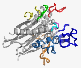 Researchers Define Structure Of Key Enzyme Implicated - Illustration, HD Png Download, Free Download
