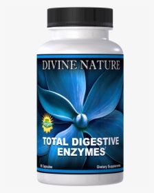 Total Digestive Enzymes - Divine Nature Probiotics, HD Png Download, Free Download