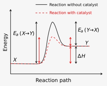 Enzyme Drawing Activation Energy - Negative Activation Energy Graph, HD Png Download, Free Download