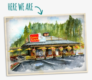 Coombs Store Postcard Watercolor - Tree, HD Png Download, Free Download