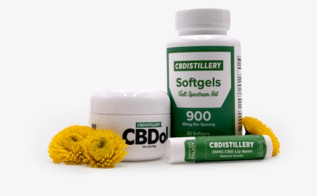 Camomile, HD Png Download, Free Download