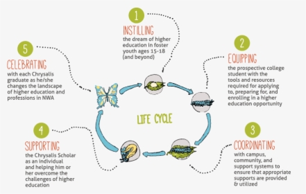 Diagram, HD Png Download, Free Download