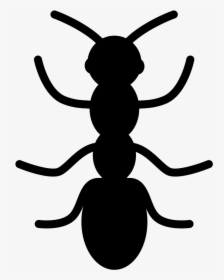00360 Bugs-03 - Ant, HD Png Download, Free Download