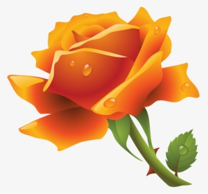 Thinking Of You Roses, HD Png Download, Free Download