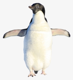 Penguin Standing Png Image Purepng Transparent - Adã©lie Penguin, Png Download, Free Download