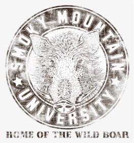 Wild Boar , Png Download - Coin, Transparent Png, Free Download