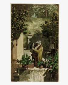 Vintage Picture Of Man And Cactus - Tree, HD Png Download, Free Download