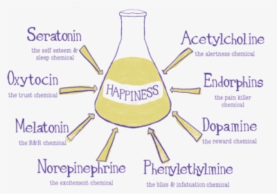 Happiness-chemicals - Dissociative Identity Disorder Treatment, HD Png Download, Free Download