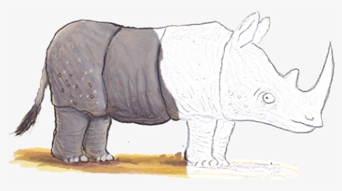 As Rhino 102ppi Drawing - Indian Rhinoceros, HD Png Download, Free Download