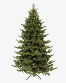 Tree Deluxe Green With Led Lighting, - Fresh Noble Christmas Tree, HD Png Download, Free Download