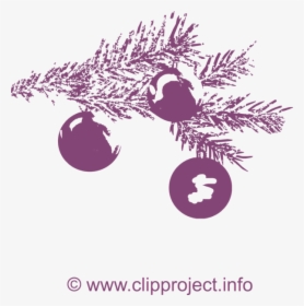 Fir-tree Branch Image - Illustration, HD Png Download, Free Download