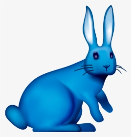 Domestic Rabbit, HD Png Download, Free Download