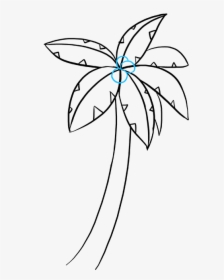 How To Draw Palm Tree - Easy Palm Trees Drawing, HD Png Download, Free Download